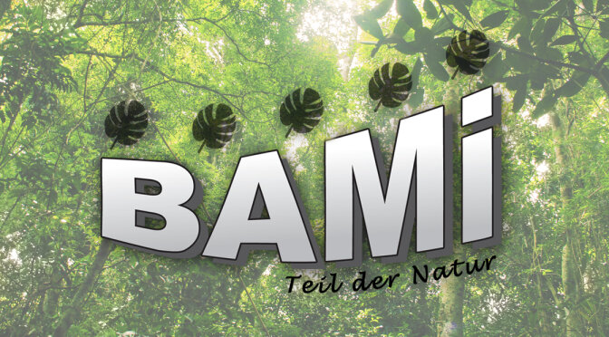Umweltfreundliche Verpackungen von BAMI  - Nachhaltige Verpackung - Umweltbewusste Verpackungslösung ▷ BMPack.de