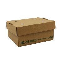 Magicbox, Faltbox Wellpappe, braun, 20x17x9cm Karton